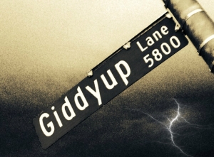 Giddyup Lane 1